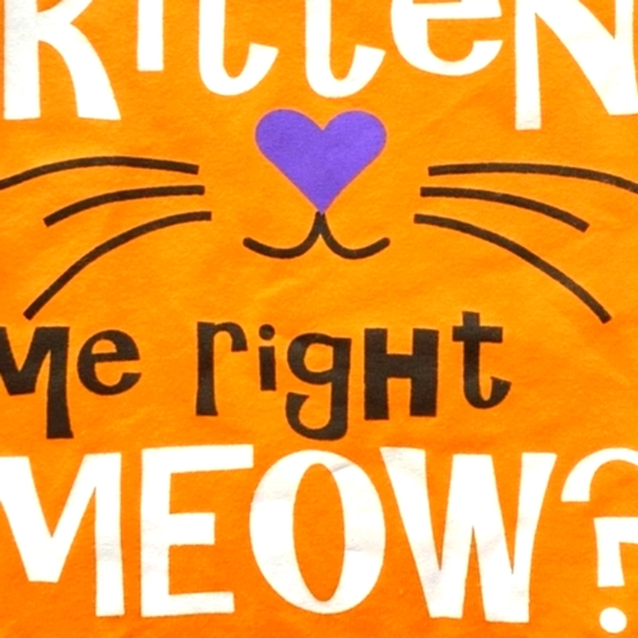 Boutique Are you Kitten Me Halloween Top & Legging 18-24 mo - Picture 4 of 5